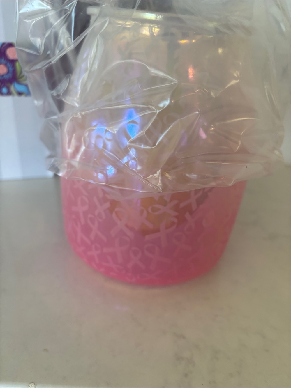 Scentsy new in box warmer